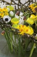 Kruh z větviček a drátu vytváří přírodní podpěru pro výrazné jarní aranžmá s pryskyřníkem v hlavní roli (Ranunculus, Hyacinthus, Narcissus, Fritillaria, Tulipa, Anemone).