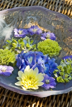 Letní stůl osvěžte třeba jen několika květy, které necháte plavat v misce s vodou. „Cachtat“ se mohou třeba hortenzie, jiřinky, karafiáty a stračky.
