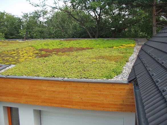 Extenzivní zelená střecha je nejlevnější a zároveň i nejméně náročná na údržbu. Předpokladem funkčnosti je malý sklon a řemeslně perfektní založení.