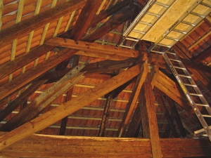 Dřevěné prvky krovů je třeba kvůli zvýšené vlhkosti chránit proti plísním a škůdcům.