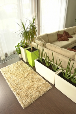 Barevnost a design interiéru prozrazují inspiraci v Orientu.