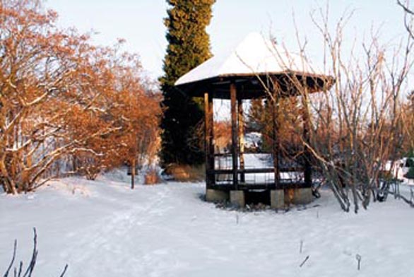 Altánek je díky bílé čepici lehoučký a elegantní. V popředí jej rámuje vzácná arálie (Aralia elata), v pozadí se tyčí neméně vzácný Calocedrus decurrens.