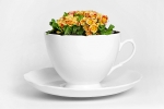 Květináč jako obří šálek (THORSTEN VAN ELTEN), k dostání v DOX BY QUBUS. Orientační cena 6 900 Kč