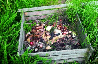Aby kompost správně zrál, měli byste vědět, co všechno na kompost patří a co je lepší přenechat popelnici.