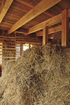 Roční nadprodukce obilné slámy je nyní téměř 30 %, což představuje nejméně 1,2 mil. tun skvělého stavebního a tepelněizolačního materiálu, který by byl jinak považován za odpadní produkt.