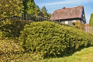 V podhorských a lesnatých oblastech se k venkovským domkům dají použít i ploty ze stříhaného smrku.