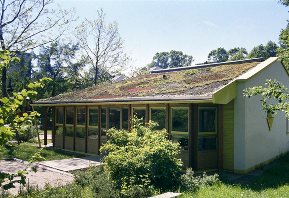 Mezi hlavní klady zelené střechy patří schopnost zadržovat dešťovou vodu a odpařit ji do okolí, čímž se významně zlepšuje mikroklima.