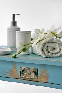 Bílá koupelnová sada (dávkovač na mýdlo, kelímek na vodu, držák na kartáčky a podložka pod mýdlo) stojí 680 Kč. Koupelnu krásně ozdobí i dekorační orchidej z hedvábí (cena 590 Kč, MONPORT).