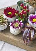 V ručně vyrobených miniaturních vázách vyniknou květiny v celé kráse. Aranžmá tvoří tři různé květy chryzantémy, třezalka s plody, barevná větvička leukotoe a květenství blahovičníku.