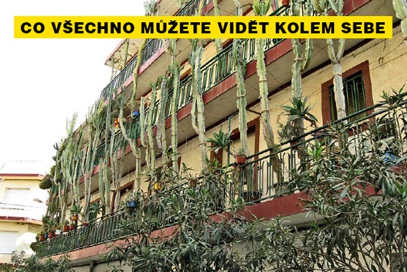 Dům ve městě Callela u Barcelony, jehož obyvatelé milují kaktusy...