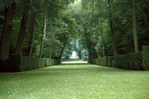Pro neopakovatelný pocit prostoru v obrovských zelených „pokojích“, „chodbách“ a „katedrálách“ si zajeďte do tohoto zámeckého parku jižně od Paříže (Château de Courances).
