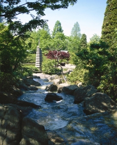 I v typických nepravidelných úpravách, jako jsou zahrady Dálného východu, se uplatňuje princip pohledových os. Přes potok se díváte na kamennou pagodu.