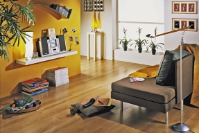 Dřevěná nebo laminátová podlaha
