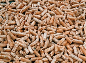 Biomasa se stává středem zájmu právě jako nejvýznamnější obnovitelný zdroj energie.