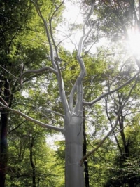Umělecká provokace: hliníkový strom v parku je součástí přírodní galerie v Hörnby ve Švédsku.