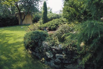 Pohled do starší části zahrady rámují větve cedru (vpravo) na kraji svahu pod chatou.