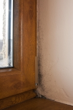 Vzdušná vlhkost, jež je produkována zejména dýcháním a vařením, se permanentně dostávala ven netěsnými okny.