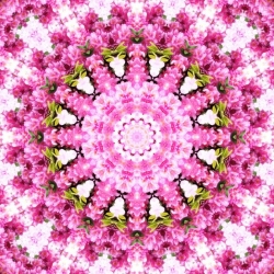 Kobereček Grund, mandala