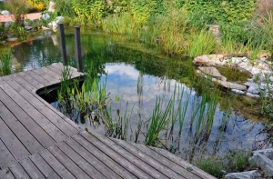 Koukání do vodního živlu je velmi uklidňující, koupel v živé vodě ráno člověka nabije na celý den, nebo odpoledne očistí od všech starostí.