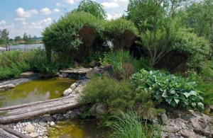Romantické zákoutí s jezírkem obklopují vrbičky, dekorativní traviny a bohyška, vzadu je pohled na velký rybník.