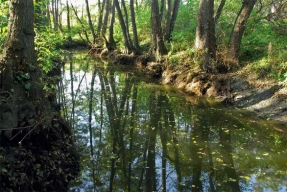 Ekozahrada v harmonii s krajinou