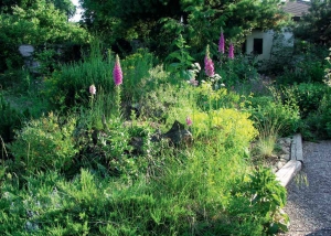 Agastache ve spodním patře velkorysé bylinkové spirály. Stačí mít hromadu kamenů, cihel nebo kusů betonu a z každého je stavitel.