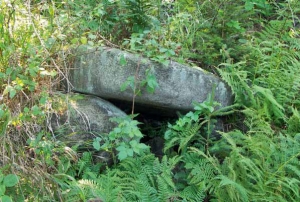 Vchod do malého prastarého sklípku, pohlceného vegetací. Všude horko, mezi kameny už začíná příjemný chládek.