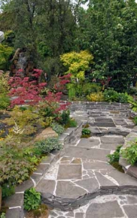 Různobarevné kultivary japonských javorů (Acer palmatum, A. japonicum) tvoří základ této inspirativní zahrady.