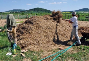 Brigádník právě zakrývá slámou záhon tvořený kládami, větvemi, kompostem a hnojem. Nejdříve vyrostou dýně milující hnůj, za rok se jahody těší na tlející dřevo.