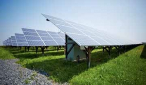 V blízkém okolí farmy stojí (leží) i dvě solární elektrárny (2,5 a 2,8 MW). Proud dodávaný do sítě je zdrojem prostředků pro investice a rozvoj farmy.