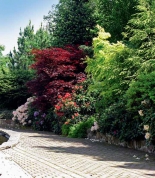 Výrazná barva japonských javorů (v zahradě jich najdeme přes 400) prozáří profesionálně provedené zahradní kompozice.