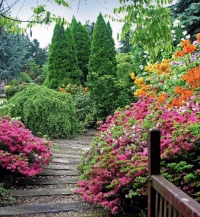 Na procházce starou zahradou si můžeme vychutnat všechny krásy tuzemské i zahraniční flóry.