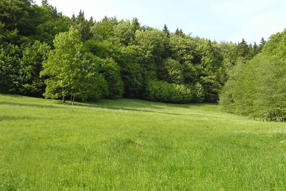 Zahrada nad velkým svahem (ilustrační fotografie)