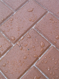 Renovace a údržba zámkových dlažeb