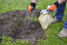 Kromě fosforečných nebo draselných hnojiv můžeme použít i hnojiva kombinovaná, například NPK nebo Cererit.