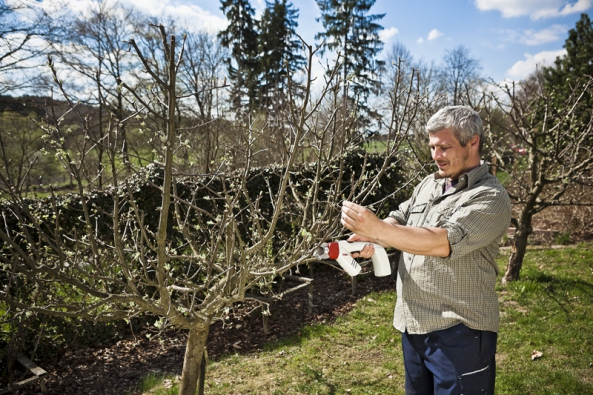 Příroda se sice uložila k zimnímu spánku a stromy a keře se nacházejí ve fázi vegetačního klidu, přesto lze za bezmrazého počasí vykonávat některé užitečné práce.
