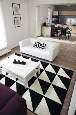 Také interiér vzorového domu je navržen ve stylu střízlivé elegance. Otevřená společná obývací část působí na návštěvníky příjemným vzdušným a prostorným dojmem. Na podlaze s dezénem světlého dřeva vynikne černobílý koberec i nábytek z lakovaných MDF desek.