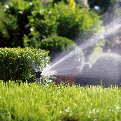 Podmínkou pro příjemnou relaxaci na zahradě jsou zdravé rostliny a trávník. Firmy nabízejí skvělá řešení pro zavlažování, rozvody a čerpání vody či automatické zavlažování (GARDENA)