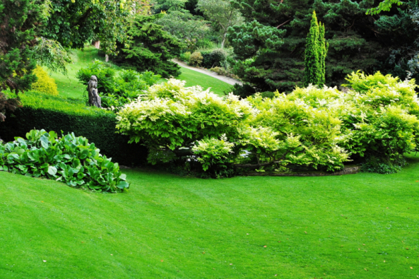 Jak založit pravý anglický trávník (Ilustrační foto)