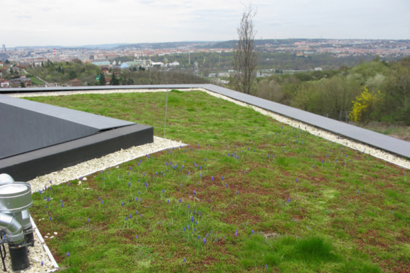 Vítězná Zelená střecha roku 2018, Villa Sophia (foto ACRE)