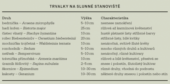 Trvalky na slunné stanoviště