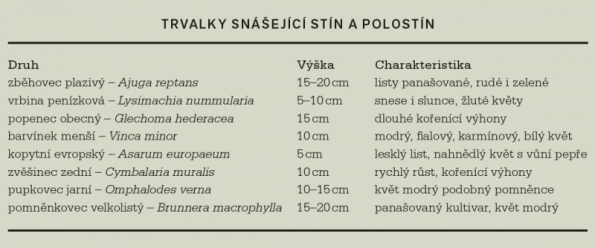 Trvalky snášející stín a polostín