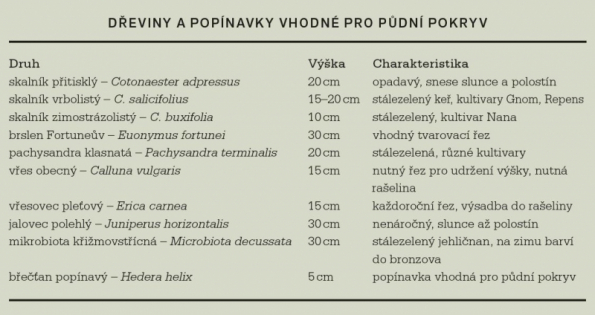 Dřeviny a popínavky vhodné pro půdní pokryv