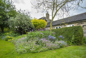 Zahradní designérka Carol Carthy si na periferii rodného města Leedsu vybudovala zahradu snů