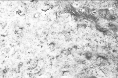 Mikroskopicky hladký povrch Baumit NanoPorTop znesnadňuje usazování nečistot (zdroj: Baumit)