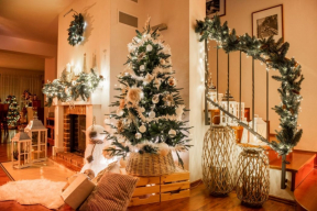 K Vánocům neodmyslitelně patří stromeček, který se na Štědrý den rozzáří v celé své kráse (zdroj: Mountfield)