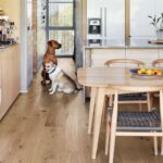 Kährs Flora - dekor Oak Gentian