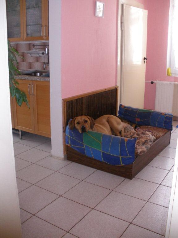 Interiér změnila až po smrti manžela a ztrátě dcery.