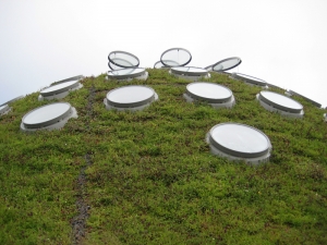 California Academy of Sciences (Renzo Piano) - detail okna