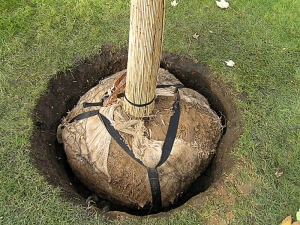 Kotvení podzemními kotvami Kotvos.